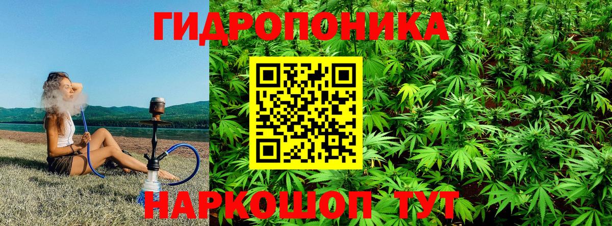 МАРИХУАНА Bruce Banner Дербент